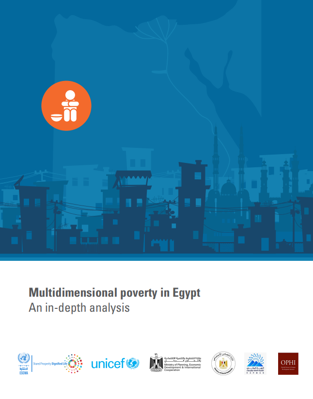 Egypt MPI report cover