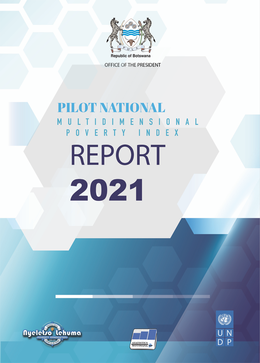 Botswana Pilot MPI report 2021 cover image