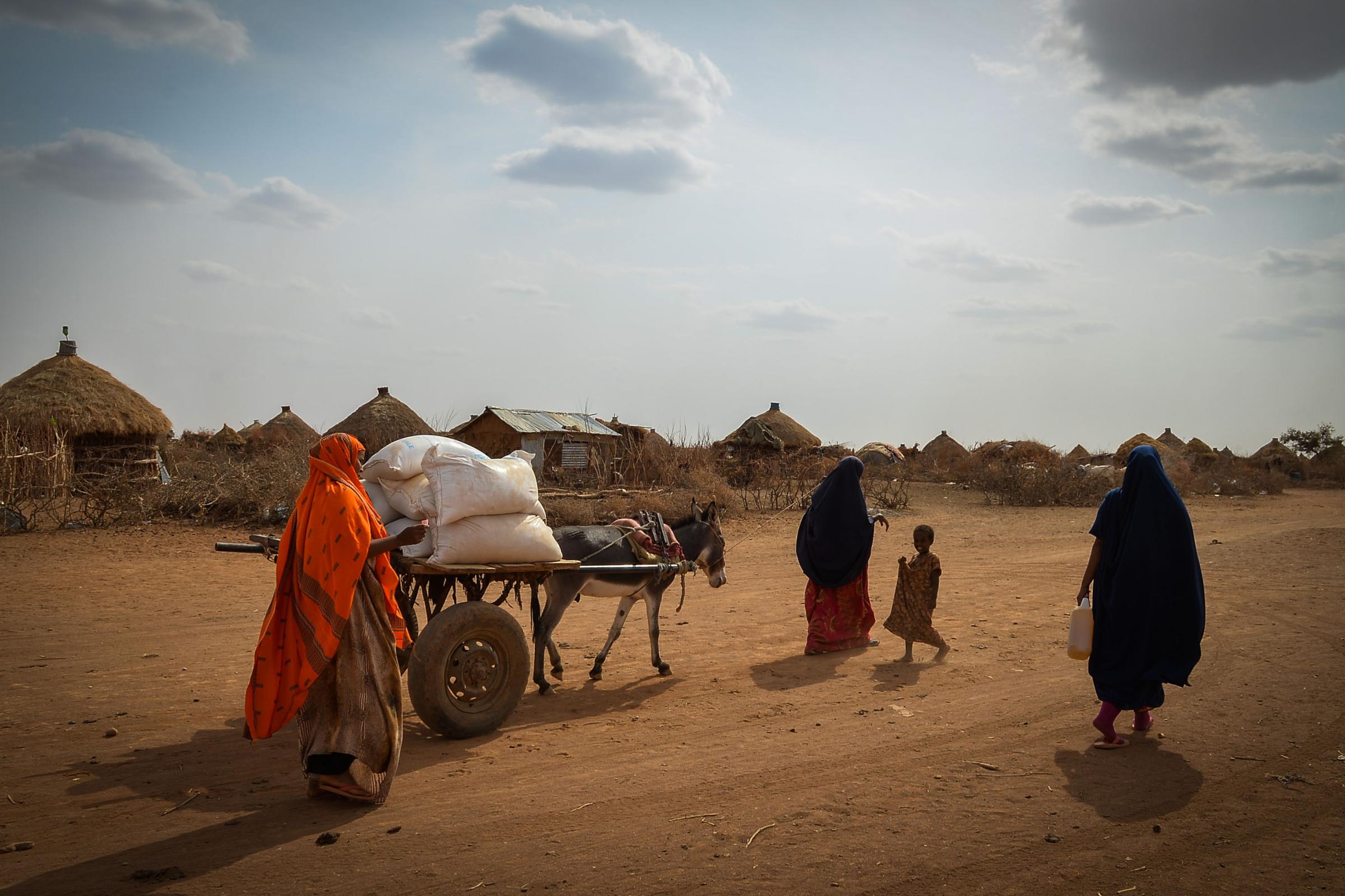 Image of rural poverty ©FAO/IFAD/WFP/Michael Tewelde